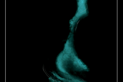 hippocampus-32