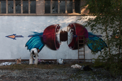 IBUG-2019-fot.-Jagoda-Cierniak-www.prowincja.art_.pl-PROwincja-magazine-45