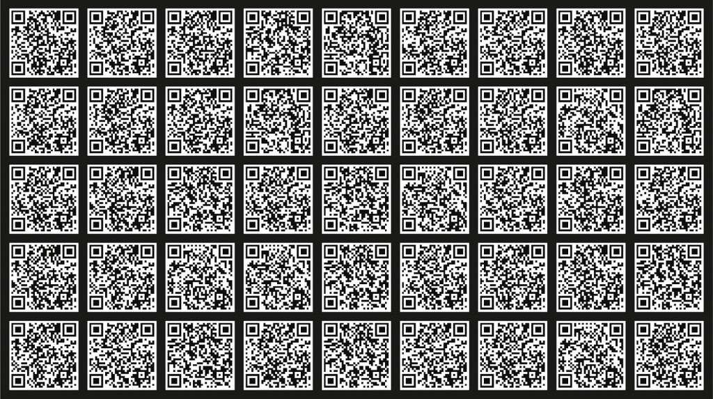 Kamil Kuitkowski_Qr