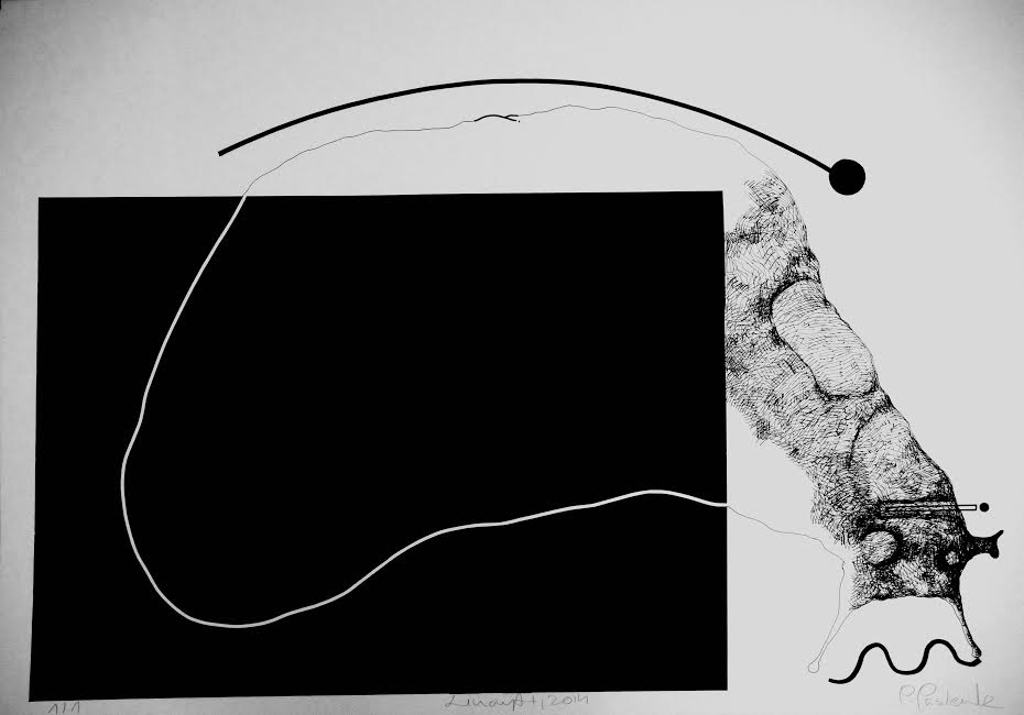 unnamed (5)