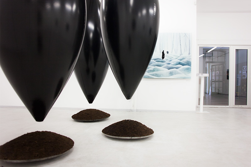 documentation "jak grzyby" exhibition